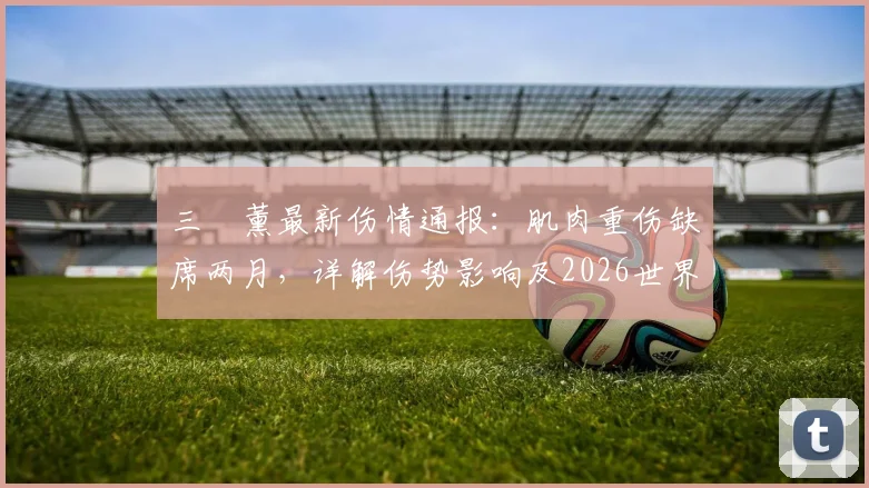 三笘薰最新伤情通报：肌肉重伤缺席两月，详解伤势影响及2026世界杯前景展望