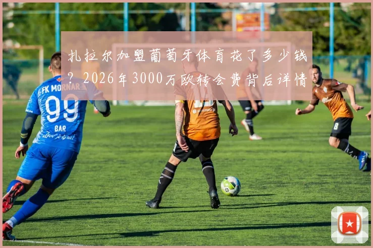 扎拉尔加盟葡萄牙体育花了多少钱？2026年3000万欧转会费背后详情解读